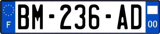 BM-236-AD