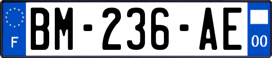 BM-236-AE