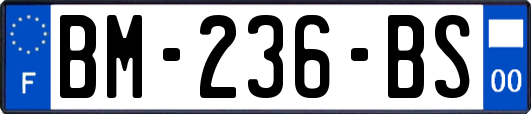 BM-236-BS