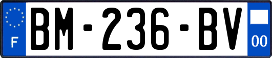 BM-236-BV