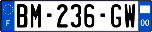 BM-236-GW