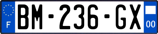 BM-236-GX