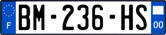 BM-236-HS