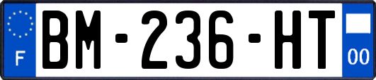 BM-236-HT