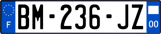 BM-236-JZ