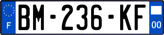 BM-236-KF
