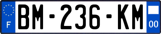 BM-236-KM