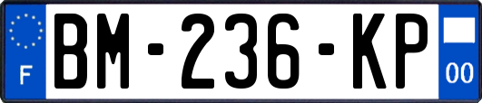 BM-236-KP