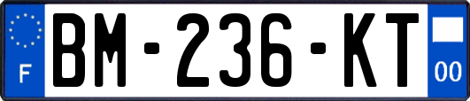 BM-236-KT