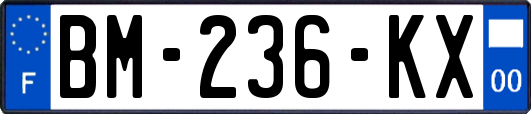 BM-236-KX
