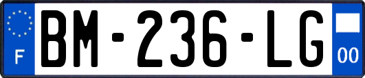 BM-236-LG