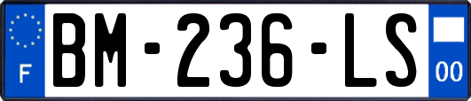 BM-236-LS