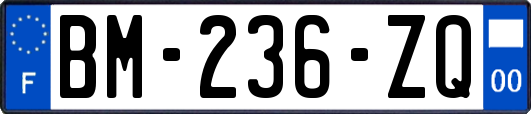 BM-236-ZQ