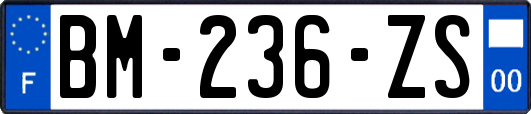 BM-236-ZS