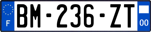 BM-236-ZT