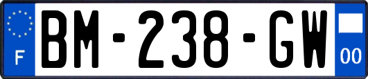 BM-238-GW