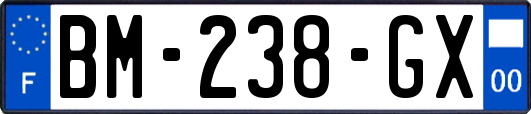 BM-238-GX