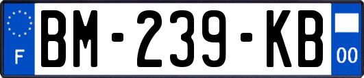 BM-239-KB