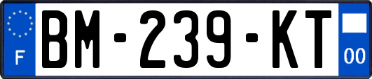BM-239-KT
