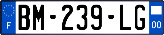 BM-239-LG