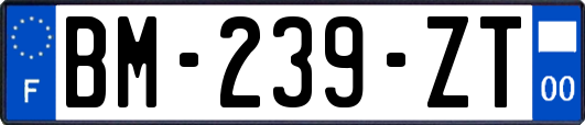 BM-239-ZT