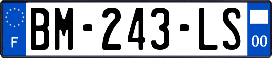 BM-243-LS