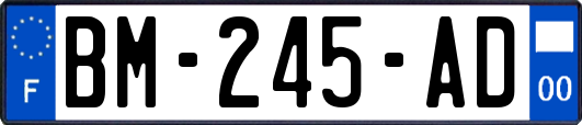 BM-245-AD