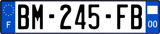 BM-245-FB