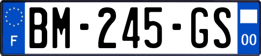 BM-245-GS