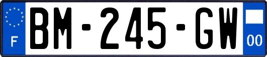 BM-245-GW