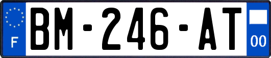 BM-246-AT