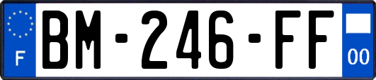 BM-246-FF