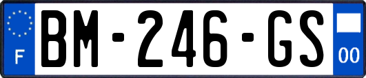 BM-246-GS