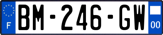 BM-246-GW