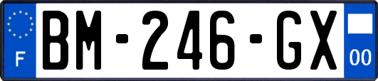 BM-246-GX