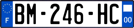 BM-246-HC