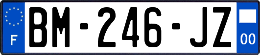 BM-246-JZ
