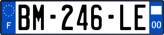 BM-246-LE