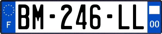 BM-246-LL