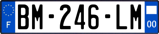 BM-246-LM