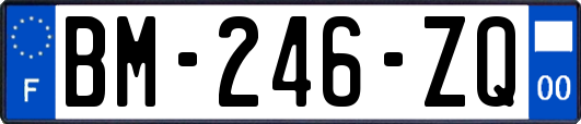 BM-246-ZQ