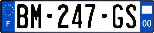 BM-247-GS