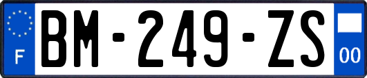 BM-249-ZS