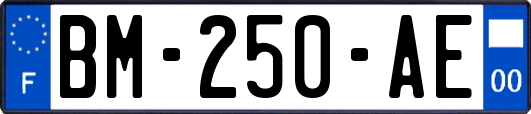 BM-250-AE