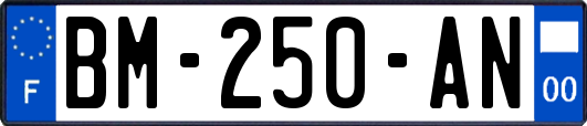 BM-250-AN