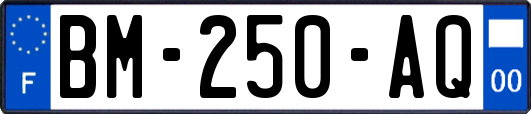 BM-250-AQ