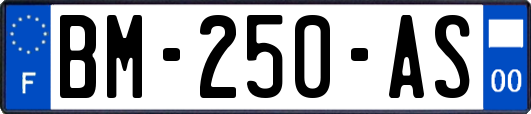 BM-250-AS