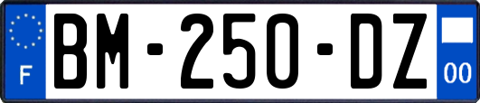 BM-250-DZ