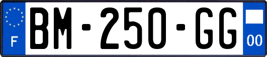 BM-250-GG