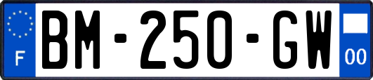 BM-250-GW